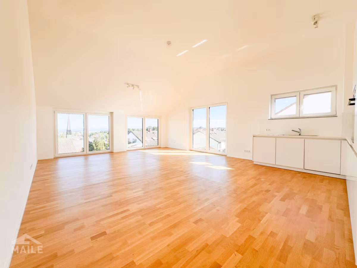 Wohn und Esszimmer + Küche