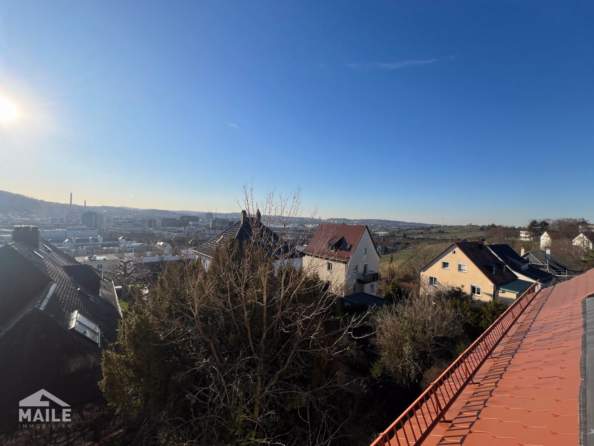 Ausblickt