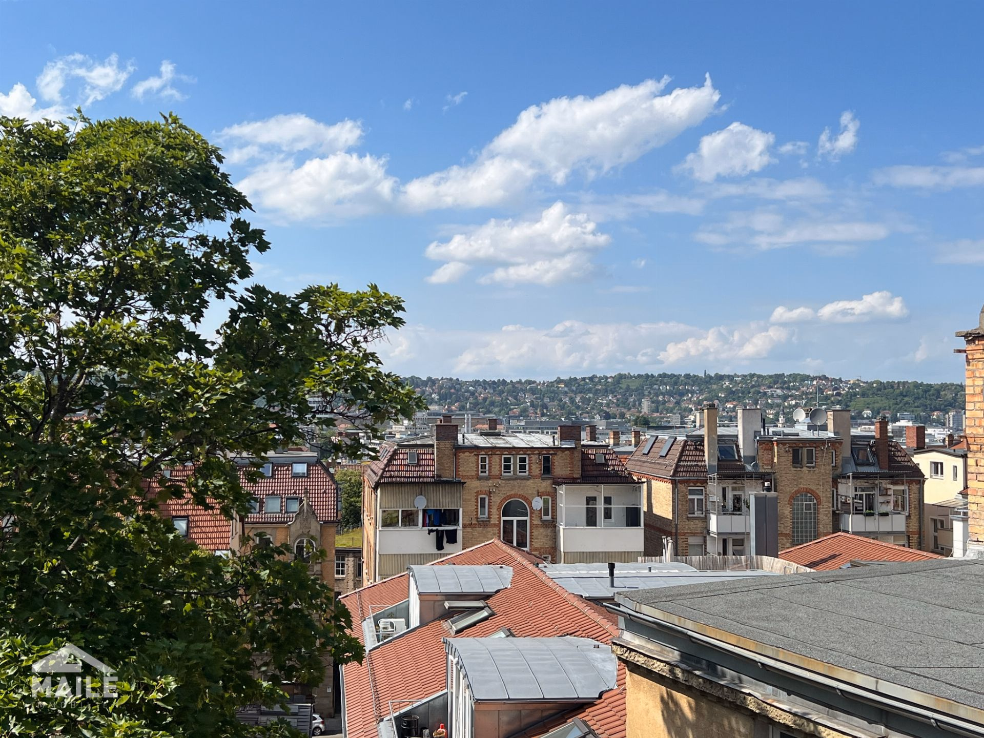 Ausblick