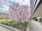 Umgebung - 18. Stock und Balkon nach Süden! Attraktive 3,5-Zimmer Gelegenheit im Asemwald!
