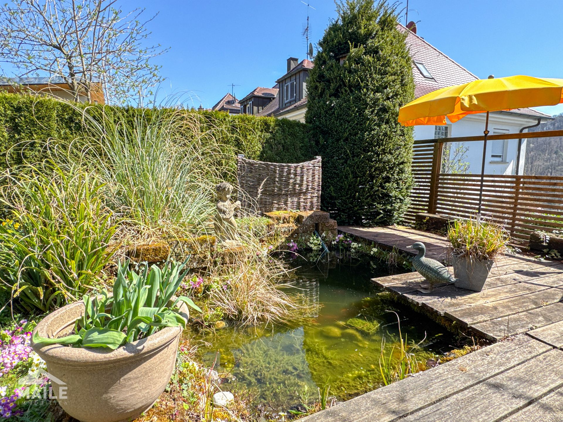 Garten und Teich