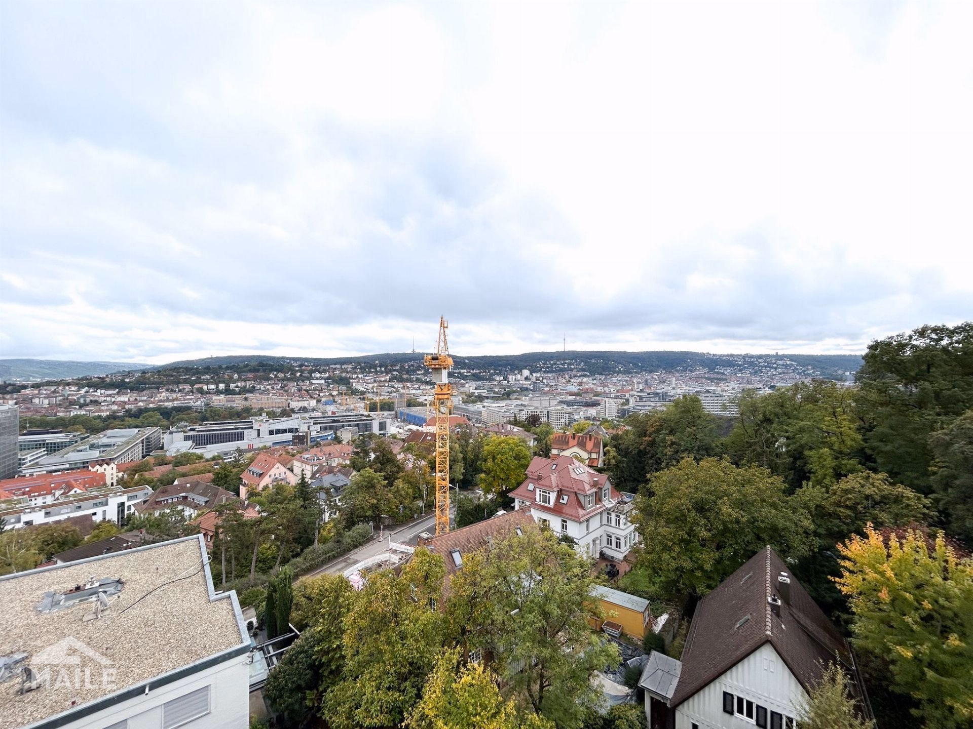 Blick
