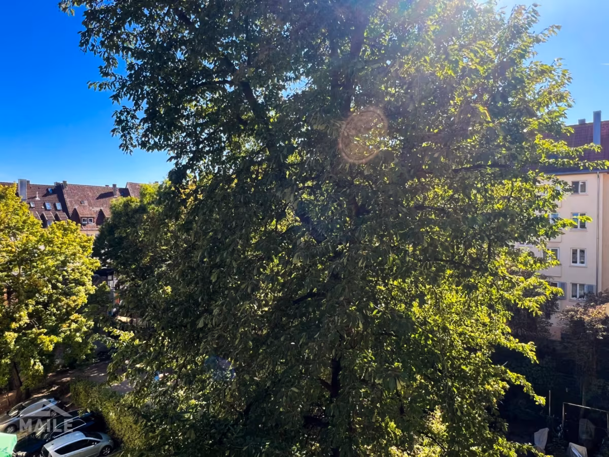 Ausblick vom Balkon
