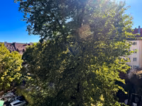 Ausblick vom Balkon