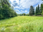 Große Villa mit Pool in Ortsrandlage, Landhaussiedlung! - Aussicht