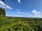 Sonniges Einfamilienhaus mit viel Platz zum wohlfühlen und unverbauter Aussicht! - Garten